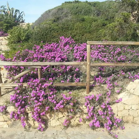 Apartmán Attico Vista Mare *